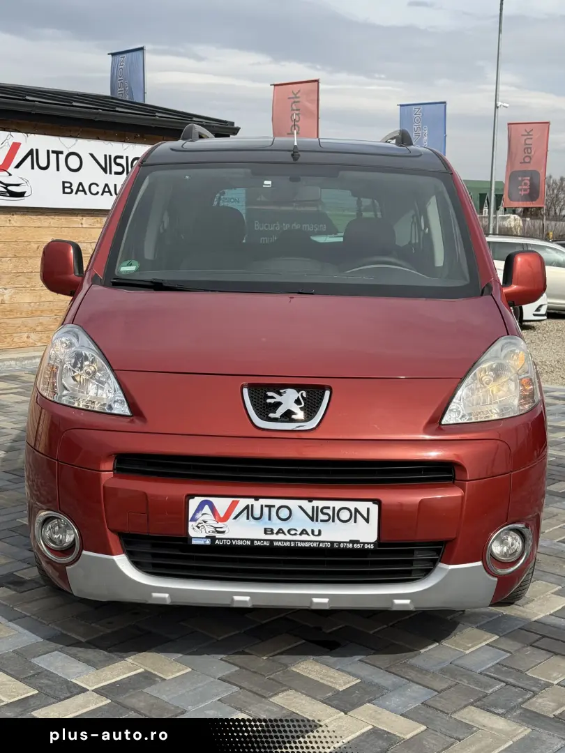 Peugeot Partner Tepee 1.6 benzina