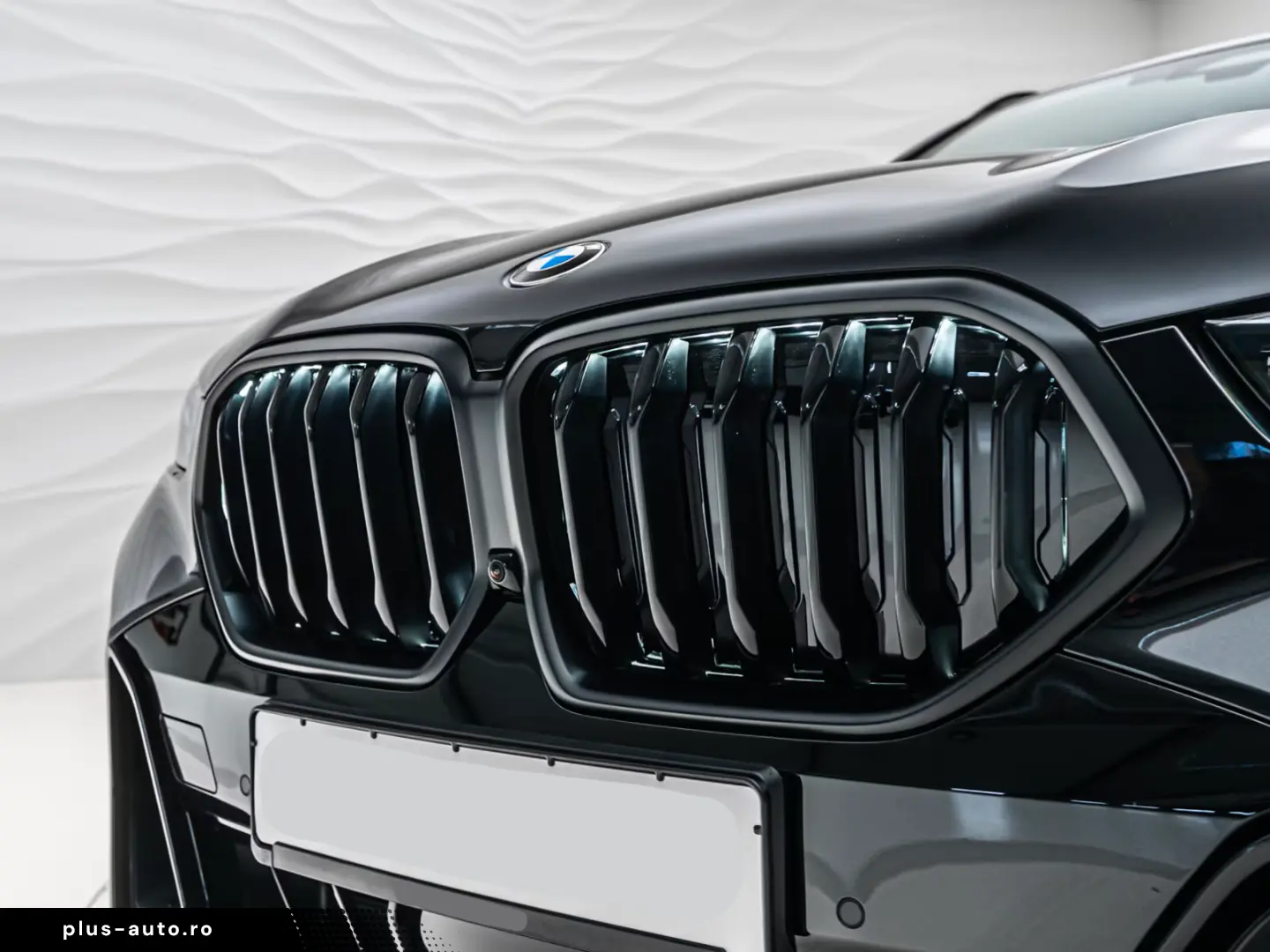 BMW X6 M Sportpaket Pro