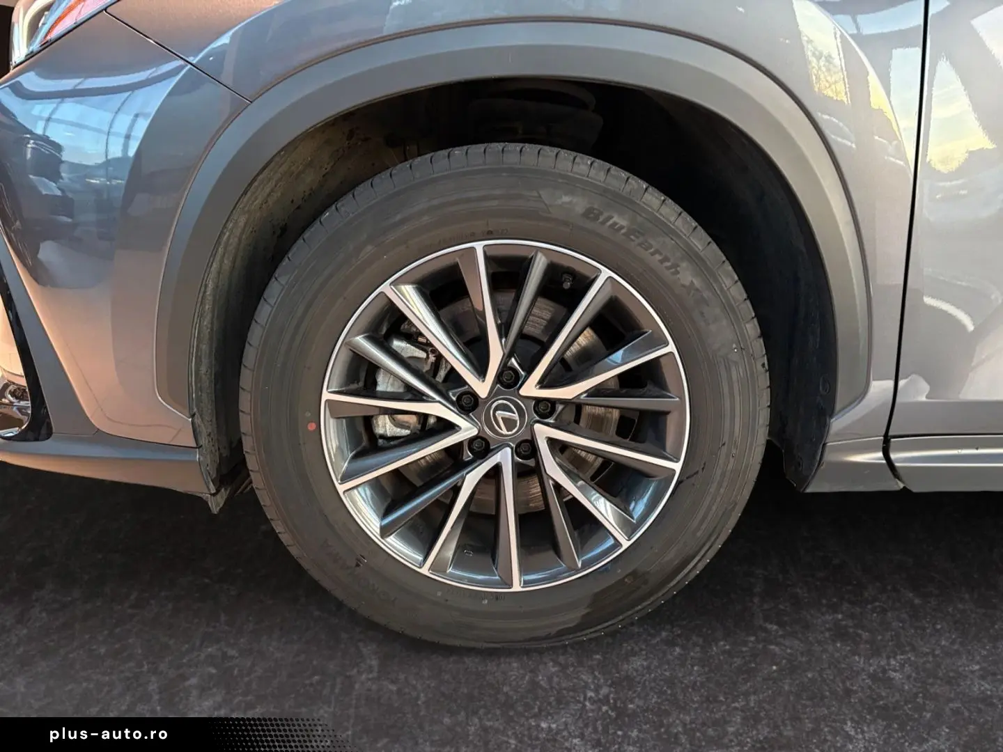 LEXUS NX 450h  E-FOUR Executive Line