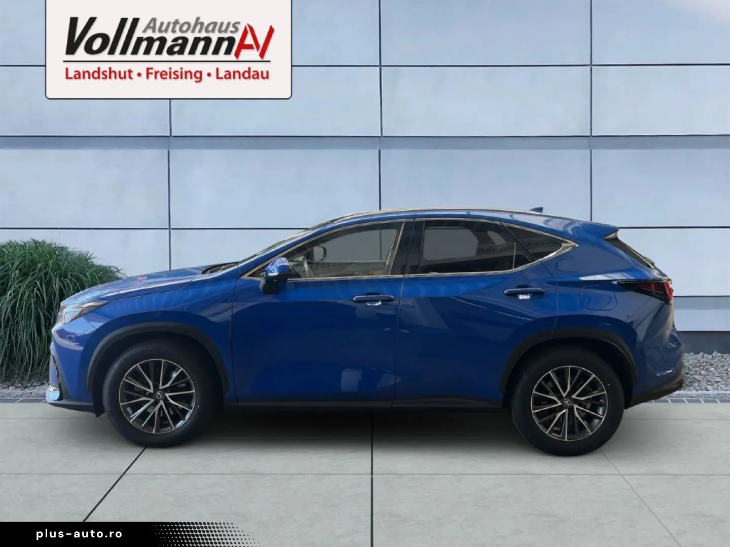 LEXUS NX 350h Executive Line