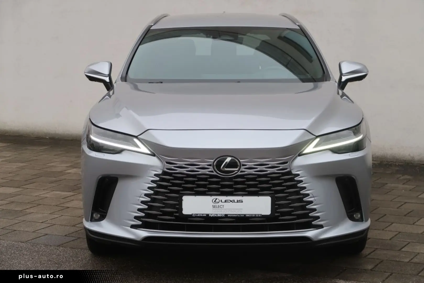 LEXUS RX 450h  Luxury Line