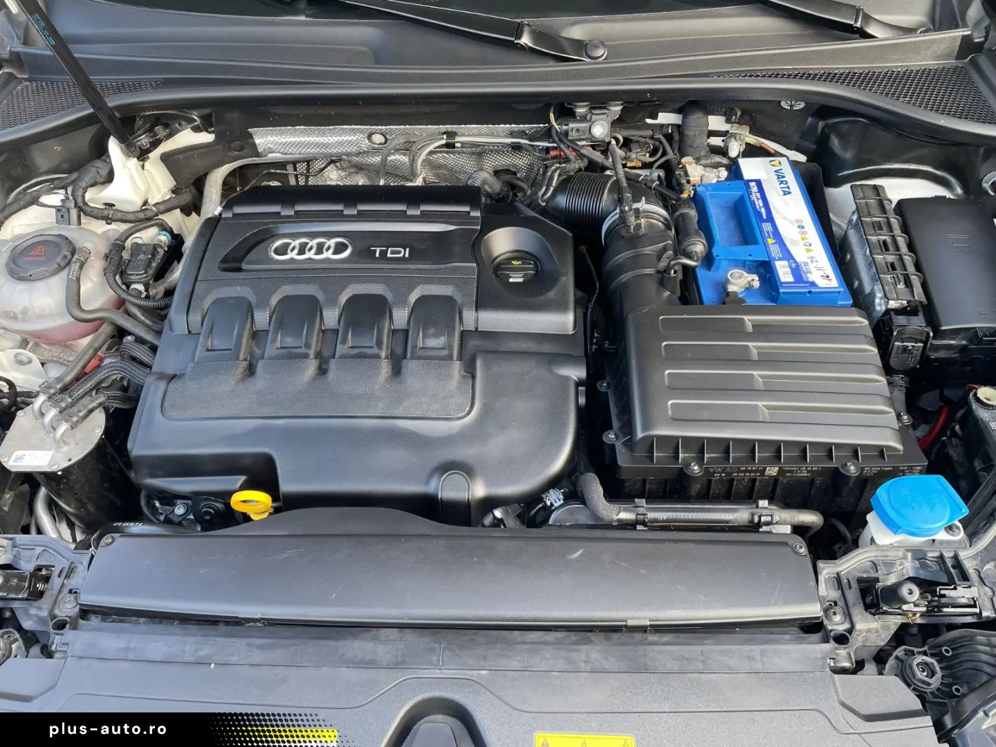 AUDI Q3 35  2 0 TDI Automatik Navi Faruri LED