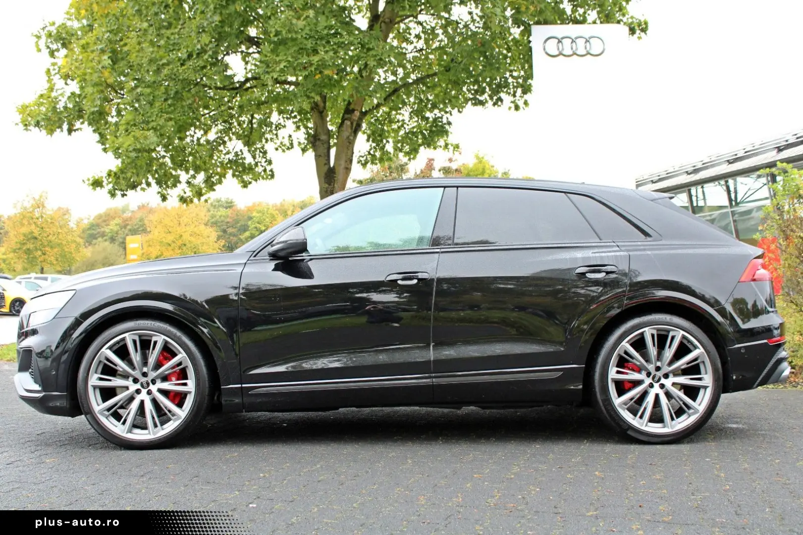 AUDI SQ8 TFSI competition plus BLACK LUFT B&O 360