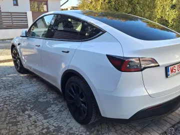 Tesla Model Y RWD LFP EAP 20  Induction