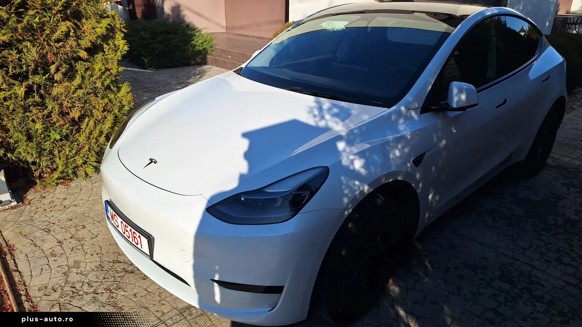 Tesla Model Y RWD LFP EAP 20  Induction