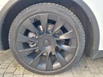 Tesla Model Y RWD LFP EAP 20  Induction