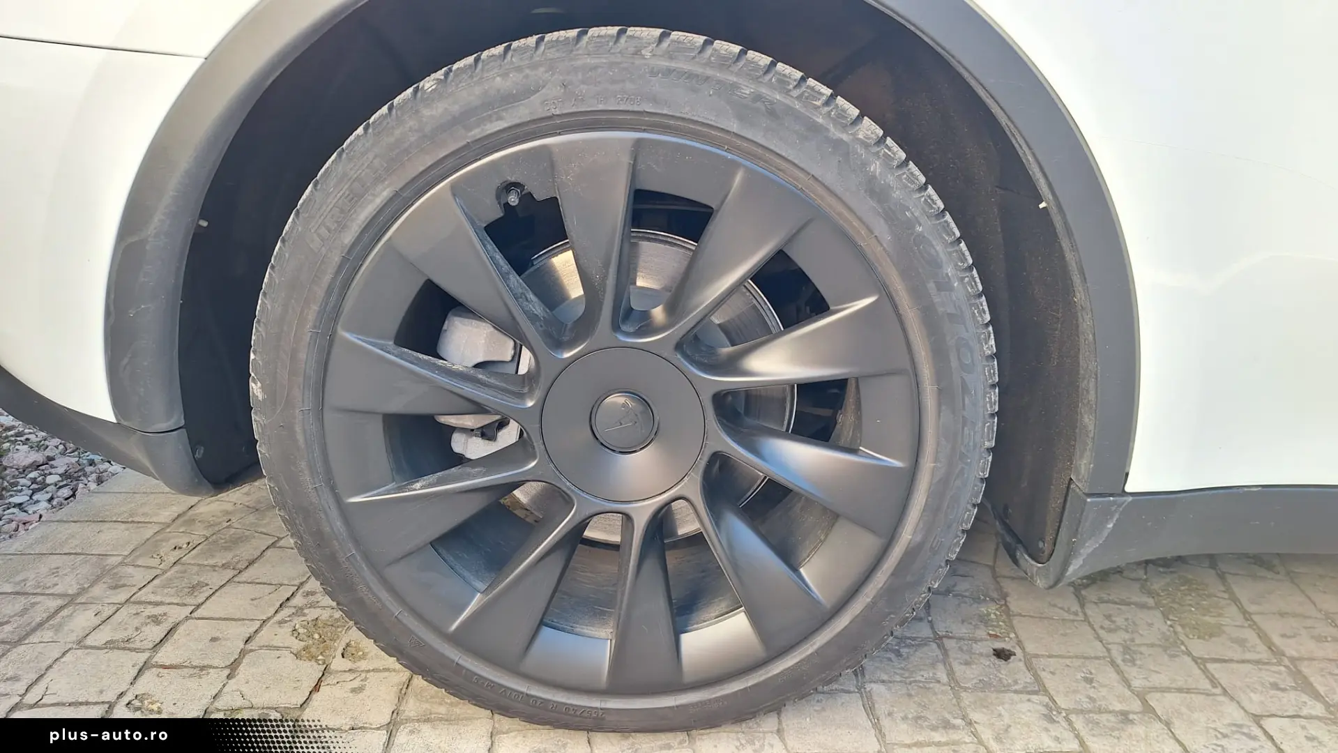 Tesla Model Y RWD LFP EAP 20  Induction