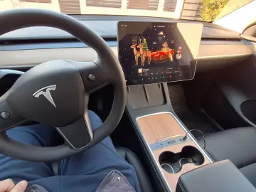 Tesla Model Y RWD LFP EAP 20  Induction