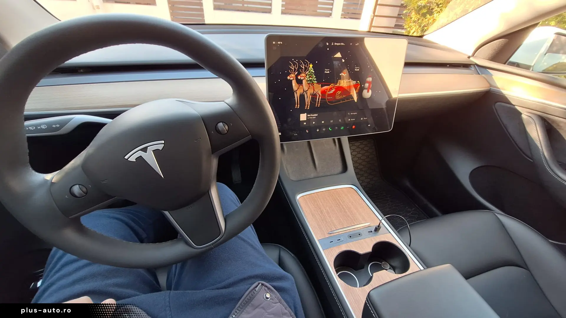 Tesla Model Y RWD LFP EAP 20  Induction