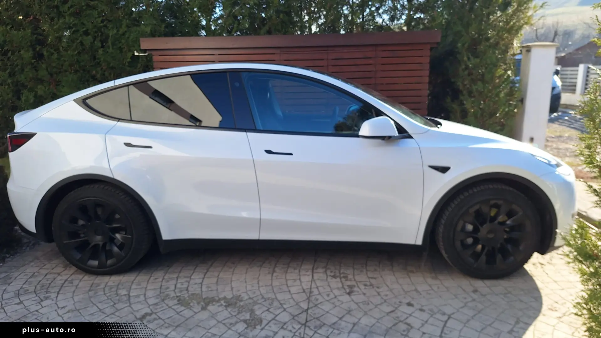 Tesla Model Y RWD LFP EAP 20  Induction