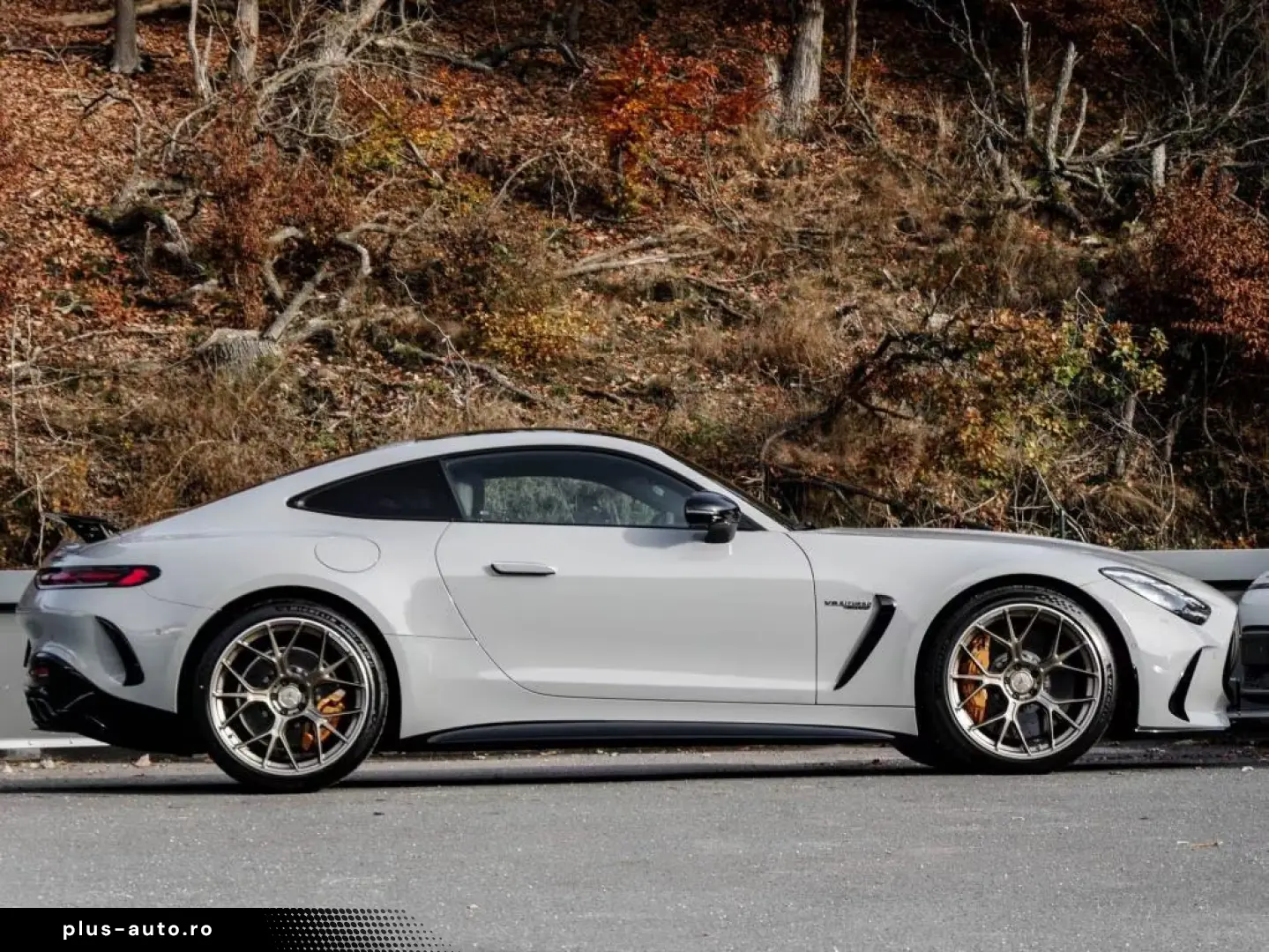 Mercedes-Benz AMG GT 63 4M Aero Perf-Si Keramik