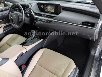 LEXUS ES 300H ACC Leder ESD Kamera 8-FACH