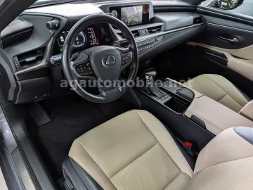 LEXUS ES 300H ACC Leder ESD Kamera 8-FACH