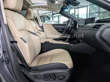 LEXUS ES 300H ACC Leder ESD Kamera 8-FACH