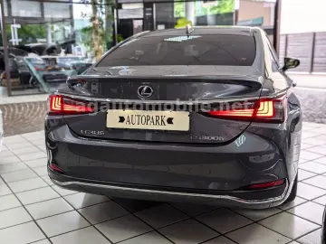 LEXUS ES 300H ACC Leder ESD Kamera 8-FACH