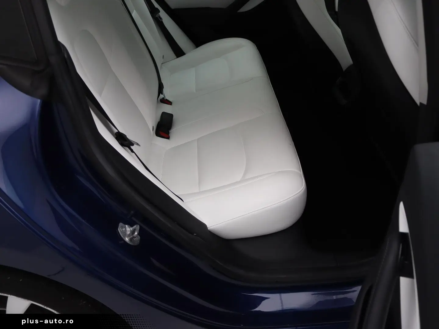 TESLA Model 3 Standard RWD Plus 92% SoH [ LFP-ACCU WIT