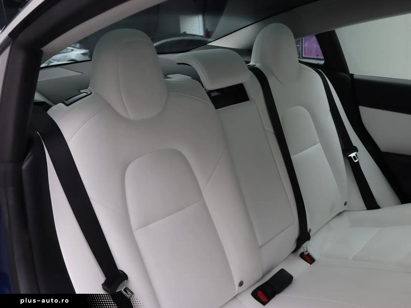 TESLA Model 3 Standard RWD Plus 92% SoH [ LFP-ACCU WIT