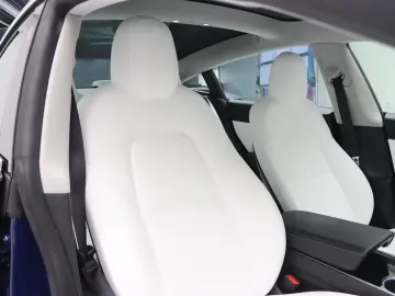 TESLA Model 3 Standard RWD Plus 92% SoH [ LFP-ACCU WIT