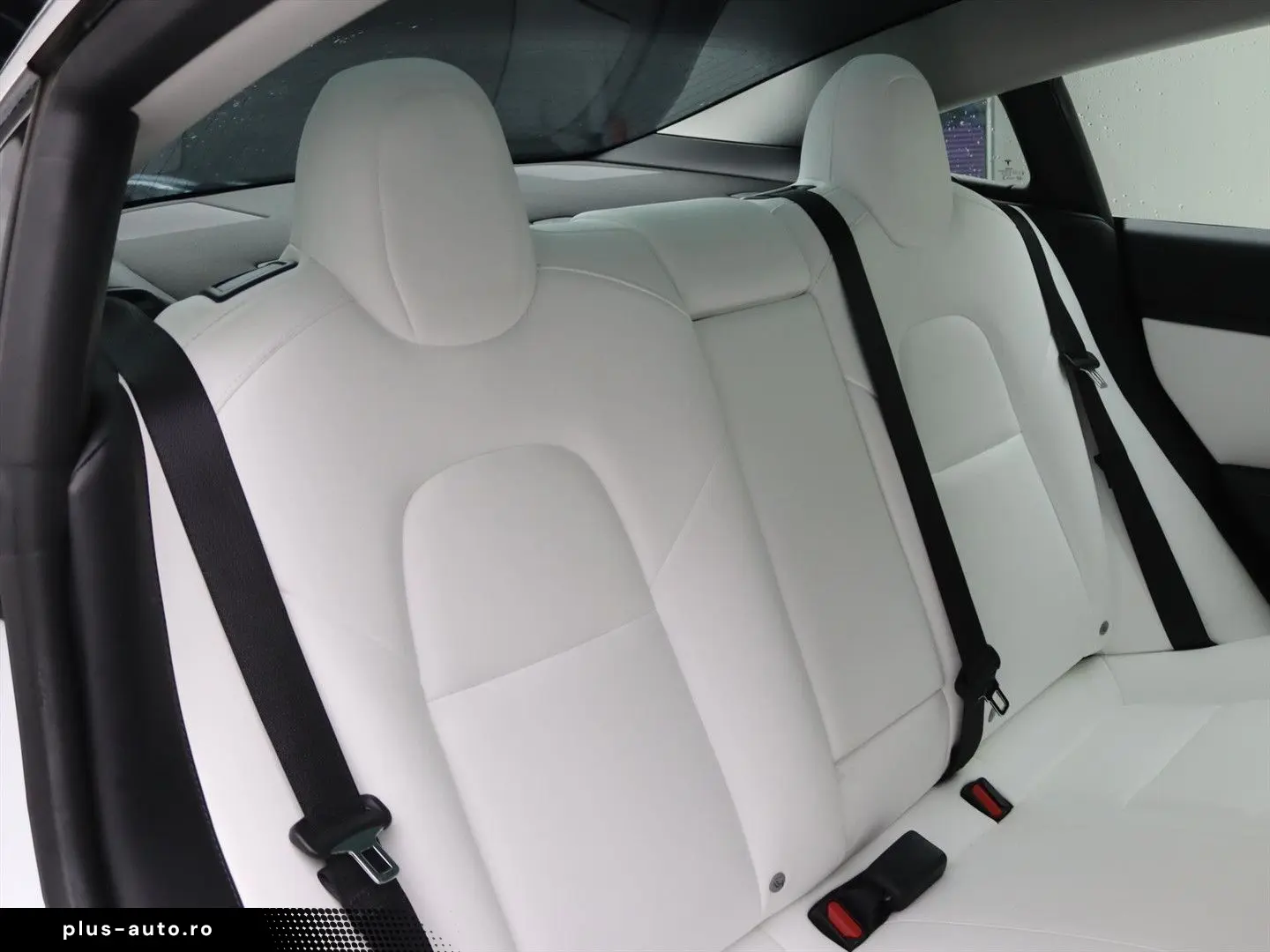 TESLA Model 3 Standard RWD Plus 93% SoH [ Weiß LEDER L