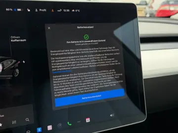 TESLA Model 3 Standard Plus 1.Hand AHK Leder Weiß