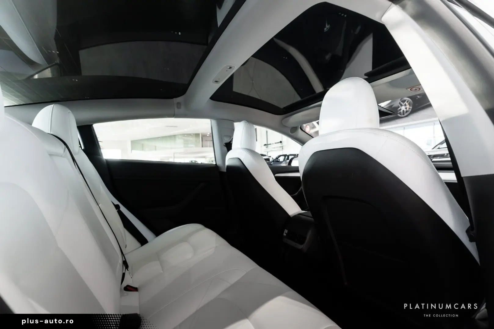 TESLA Model 3 Long Range Dual AWD   NETTO POSSI