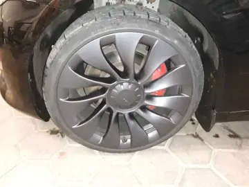 TESLA Model 3 Performance Dual  White Interior