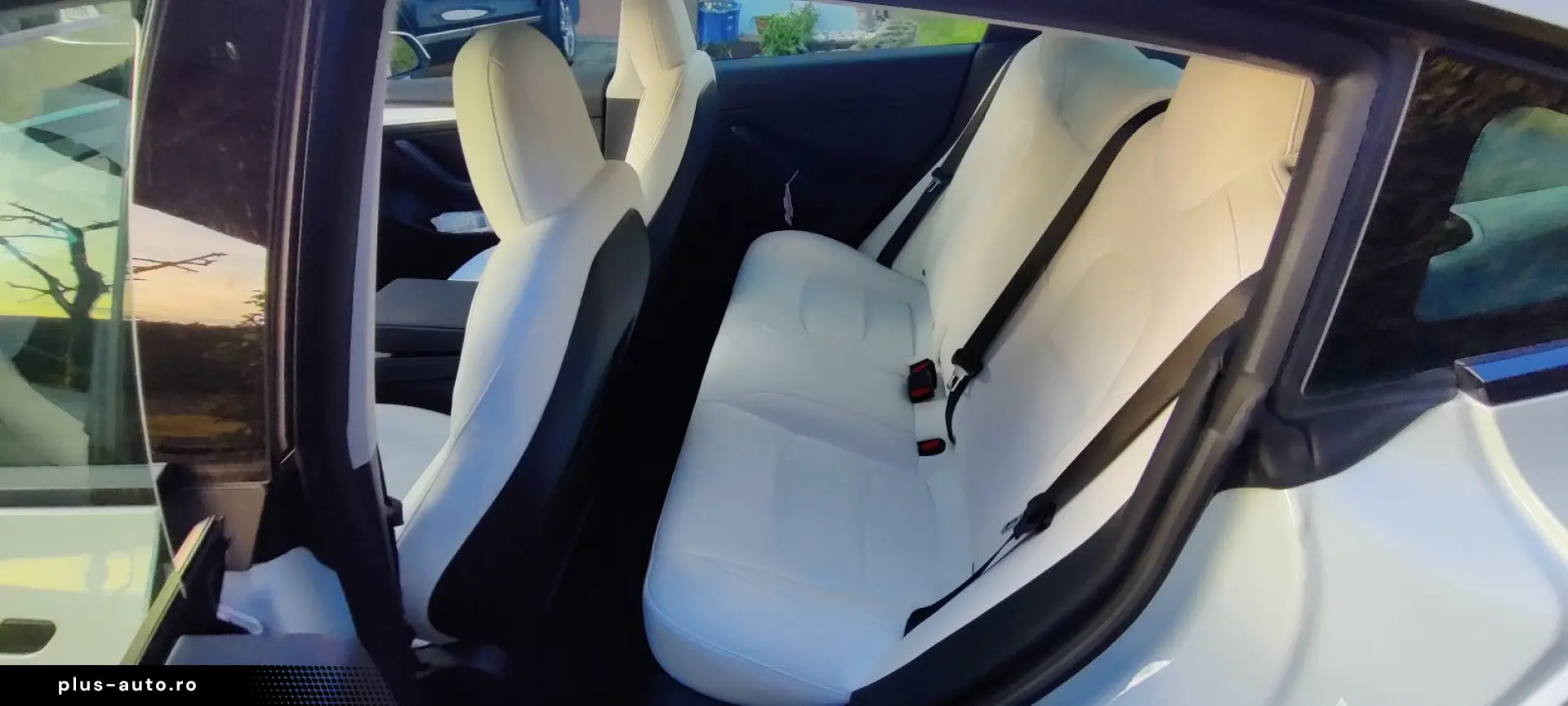 TESLA Model 3 Performance 2xWeiss Mwst. evtl.Inz.mögl.