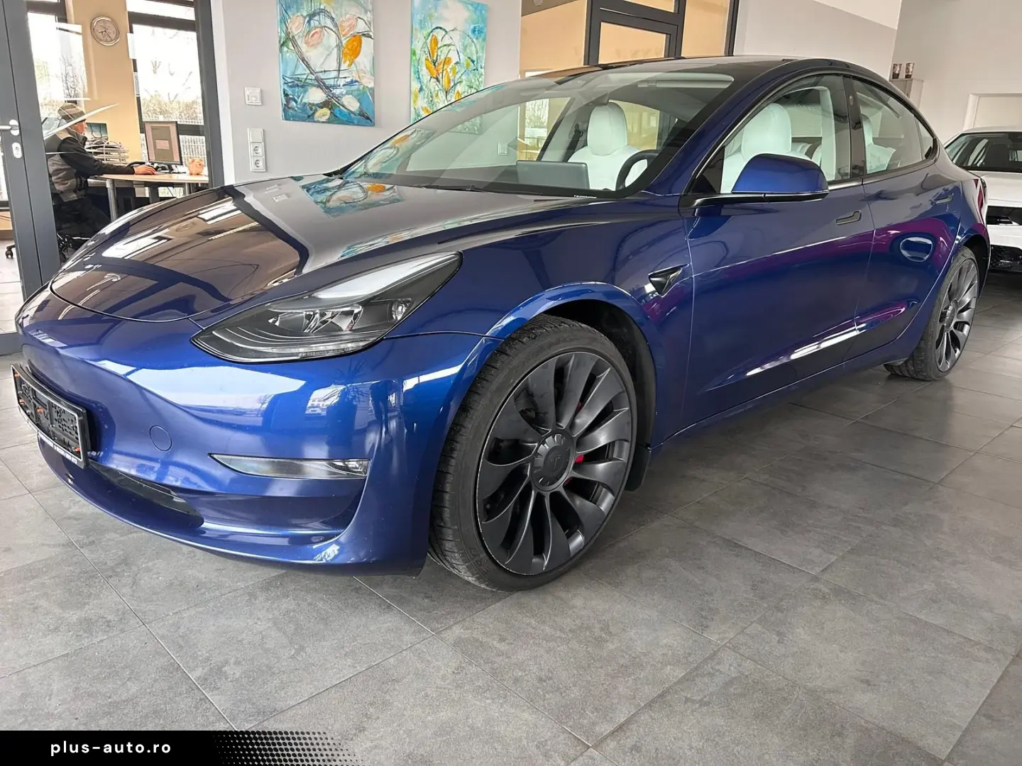 TESLA Model 3 Performance Dual AWD Metallic AMD Ryzen