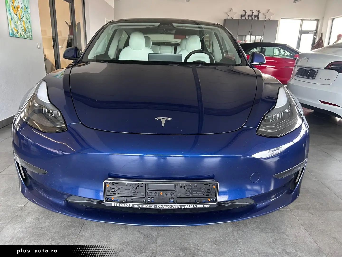 TESLA Model 3 Performance Dual AWD Metallic AMD Ryzen