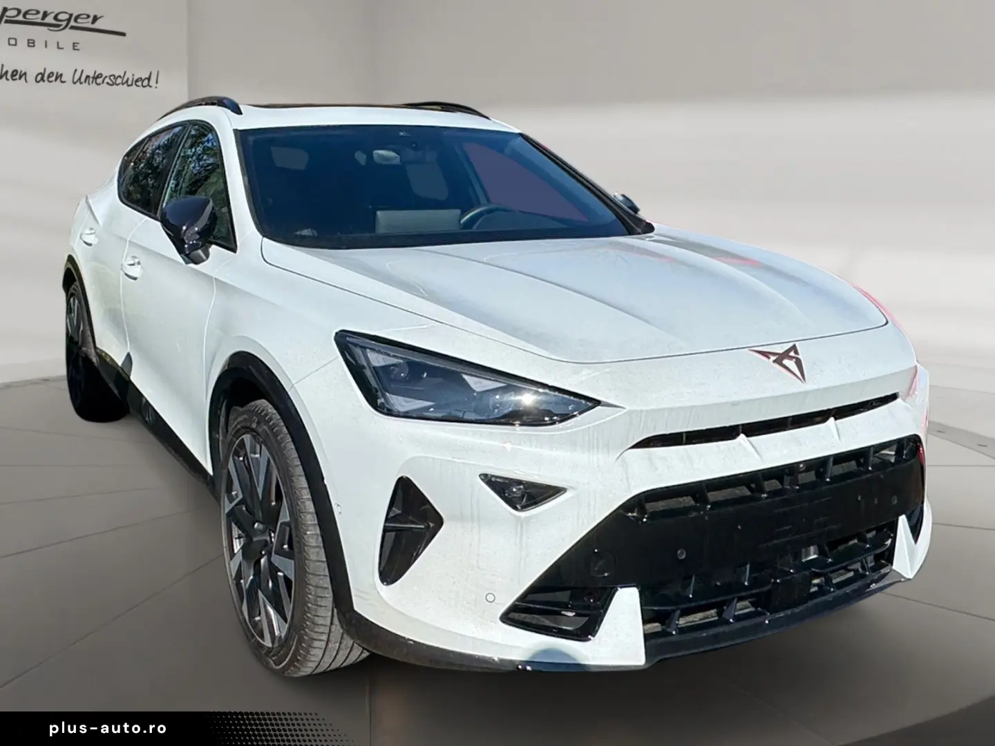 CUPRA Formentor VZ 2.0 TSI LED 360  Assist Navi uvm.