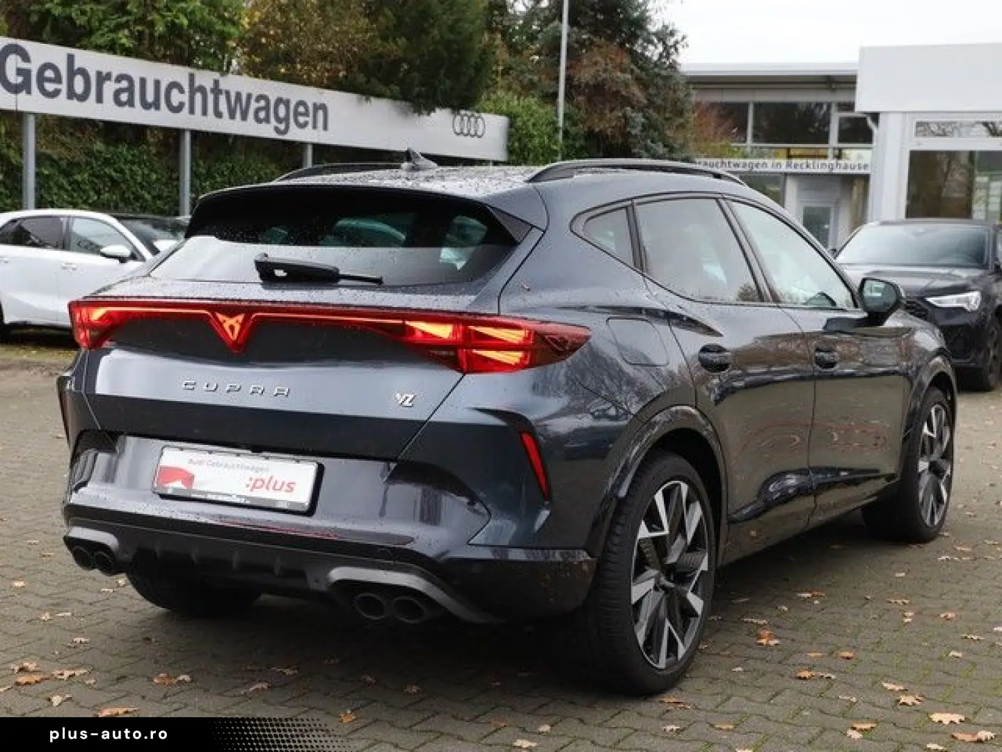 CUPRA Formentor 2.0 TSI 4 Drive VZ Matrix LED Pano Nav