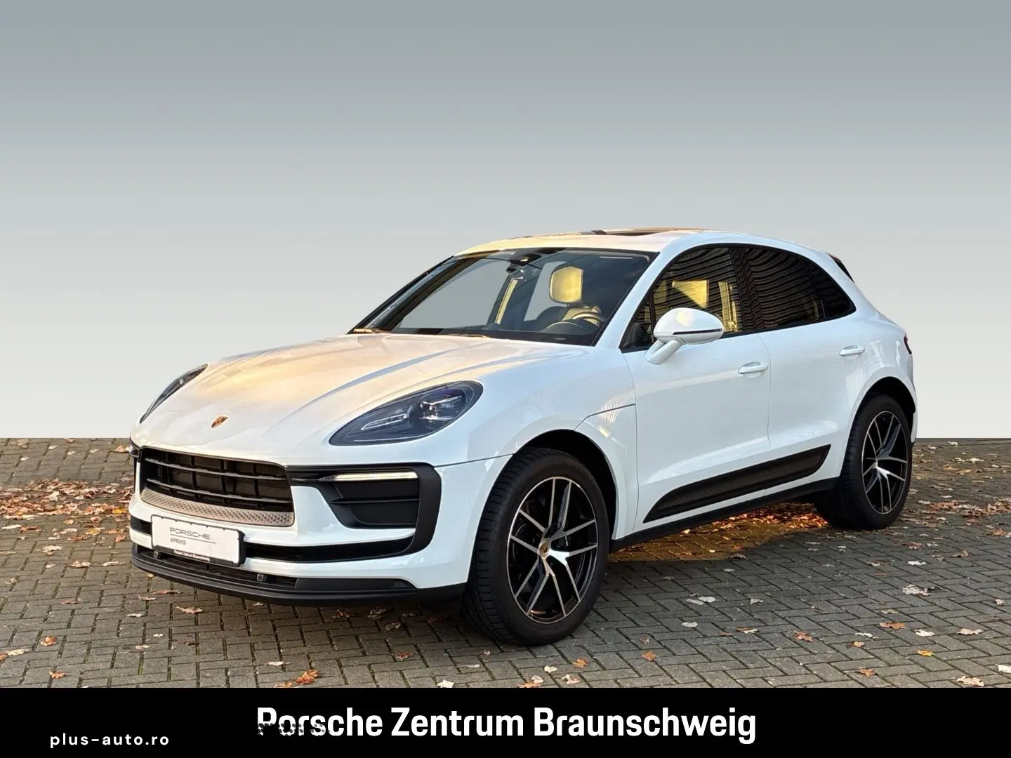 PORSCHE Macan BOSE Panorama Luftfederung Rückfahrkamera