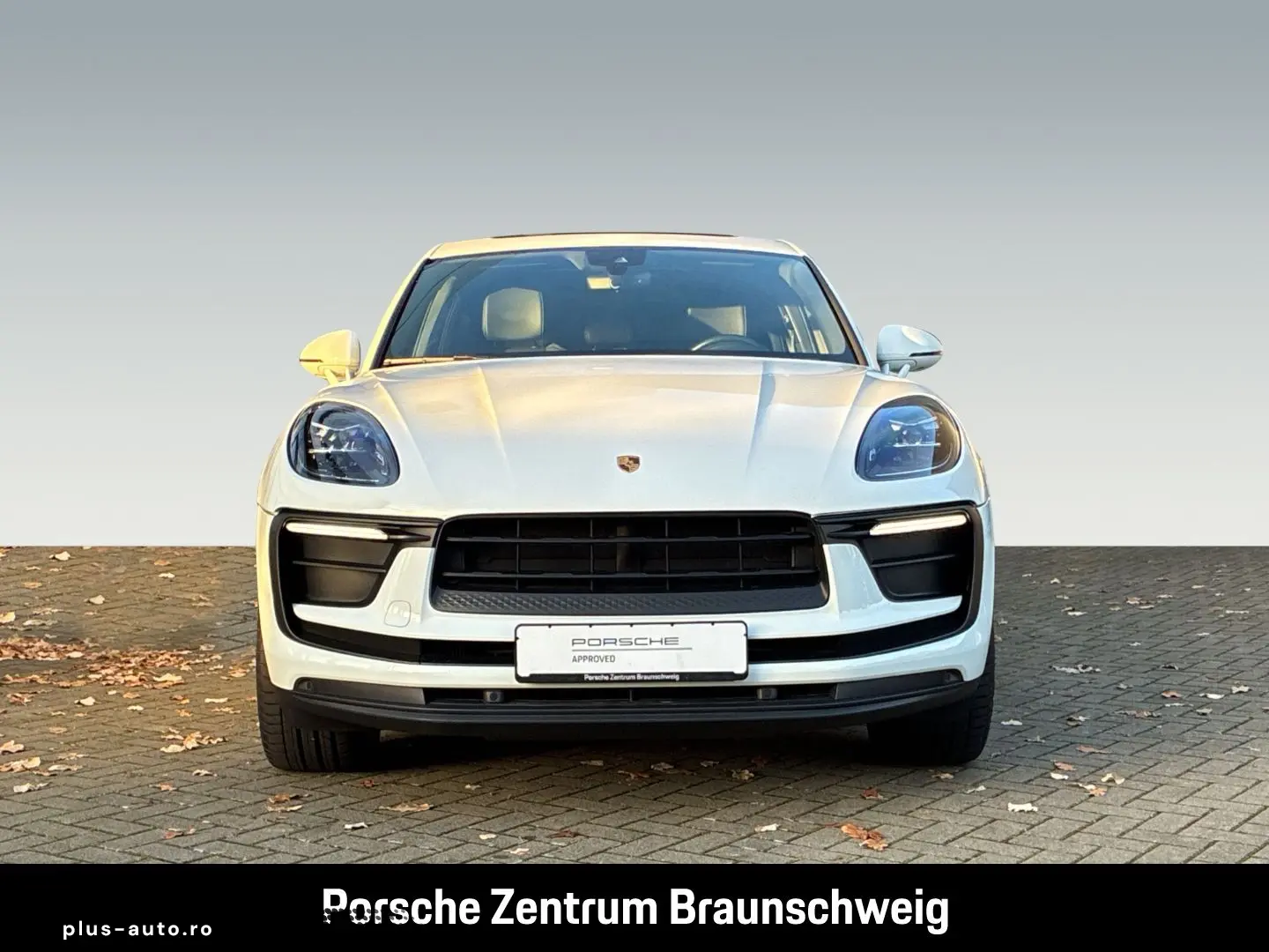 PORSCHE Macan BOSE Panorama Luftfederung Rückfahrkamera