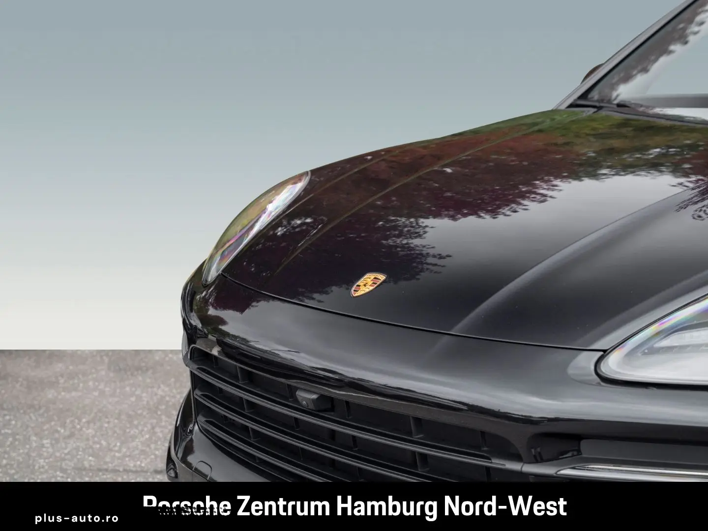 PORSCHE Cayenne E-Hybrid  Panorama BOSE Surround View