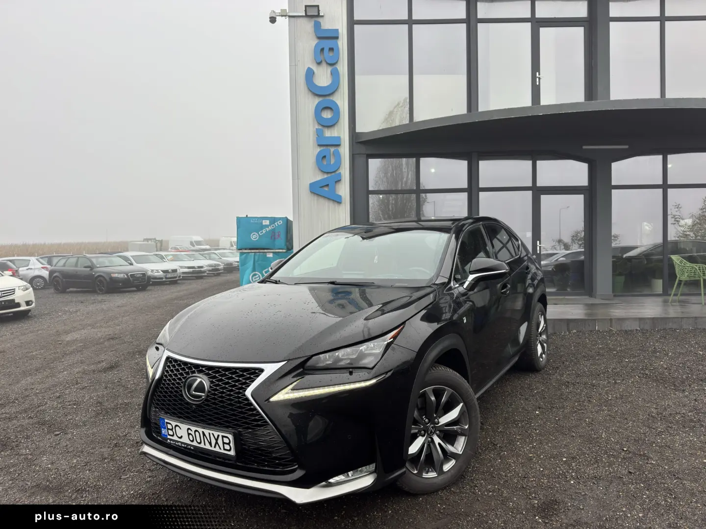 LEXUS NX200T    EURO 6    PIELE    NAVI