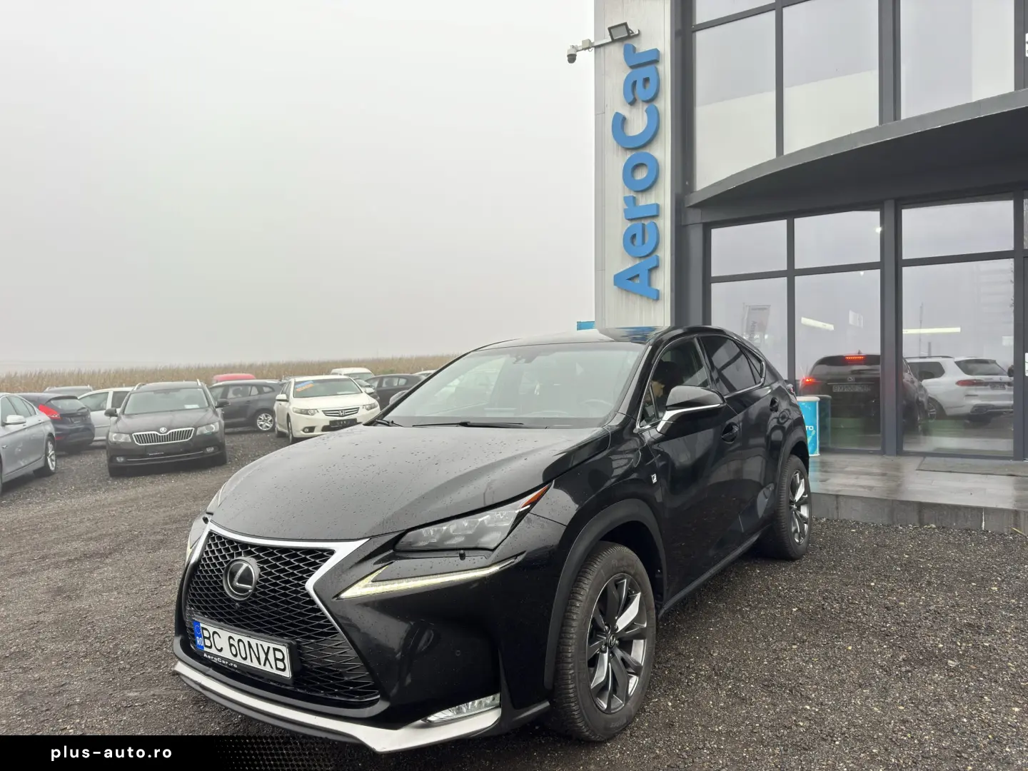 LEXUS NX200T    EURO 6    PIELE    NAVI