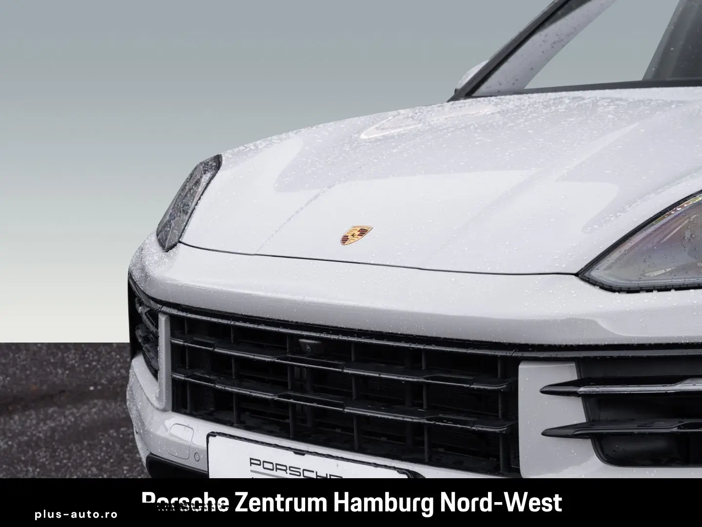 PORSCHE Cayenne Panorama BOSE  Servolenkung Plus