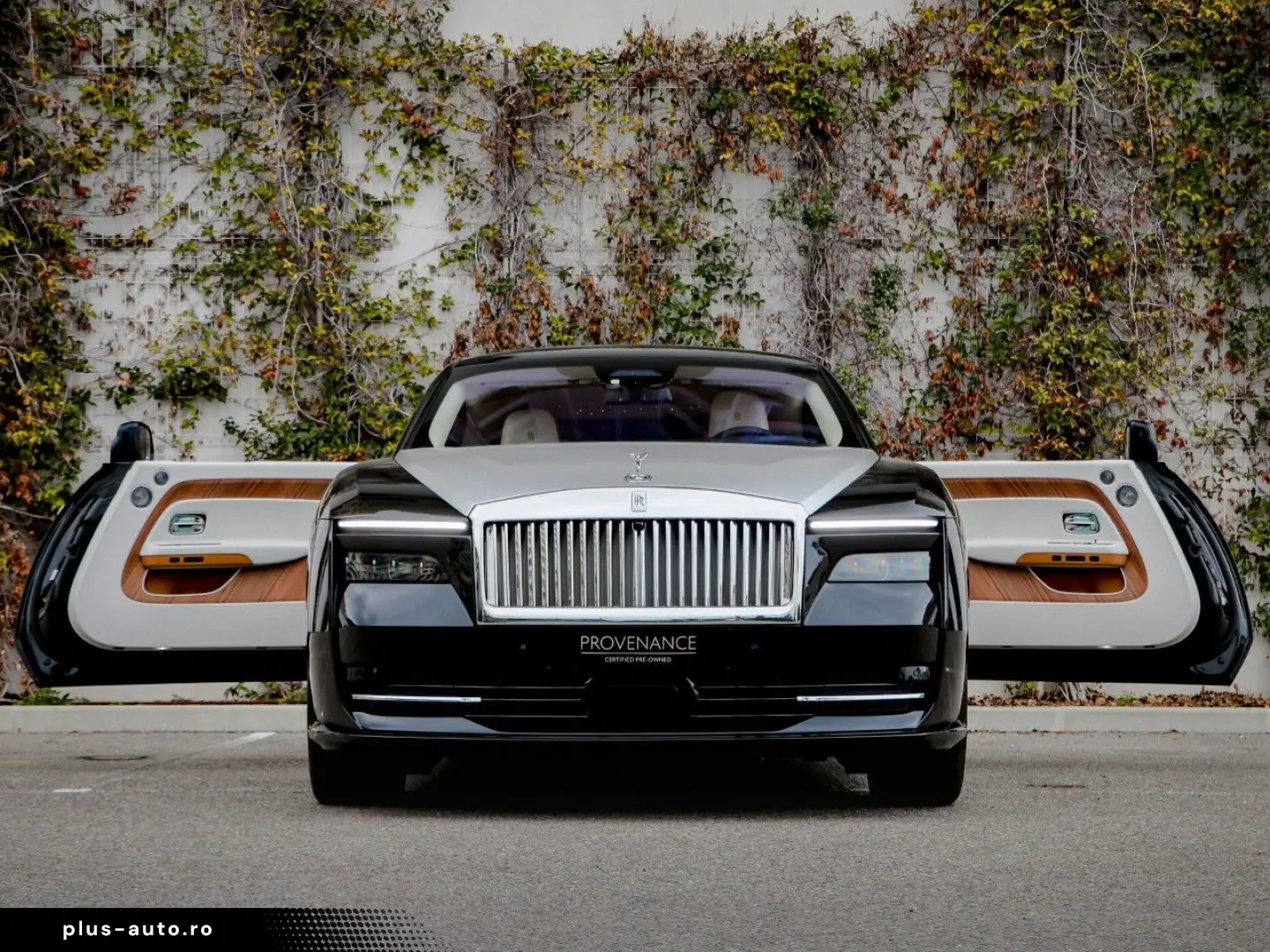 ROLLS ROYCE Spectre Silver Badge