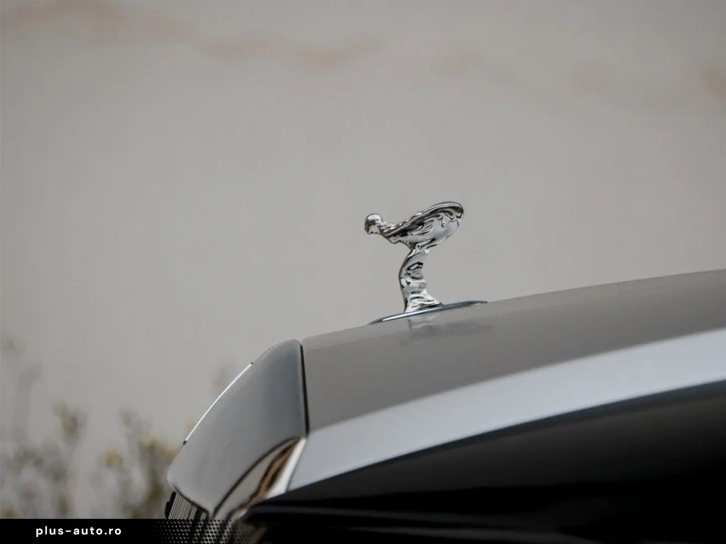 ROLLS ROYCE Spectre Silver Badge