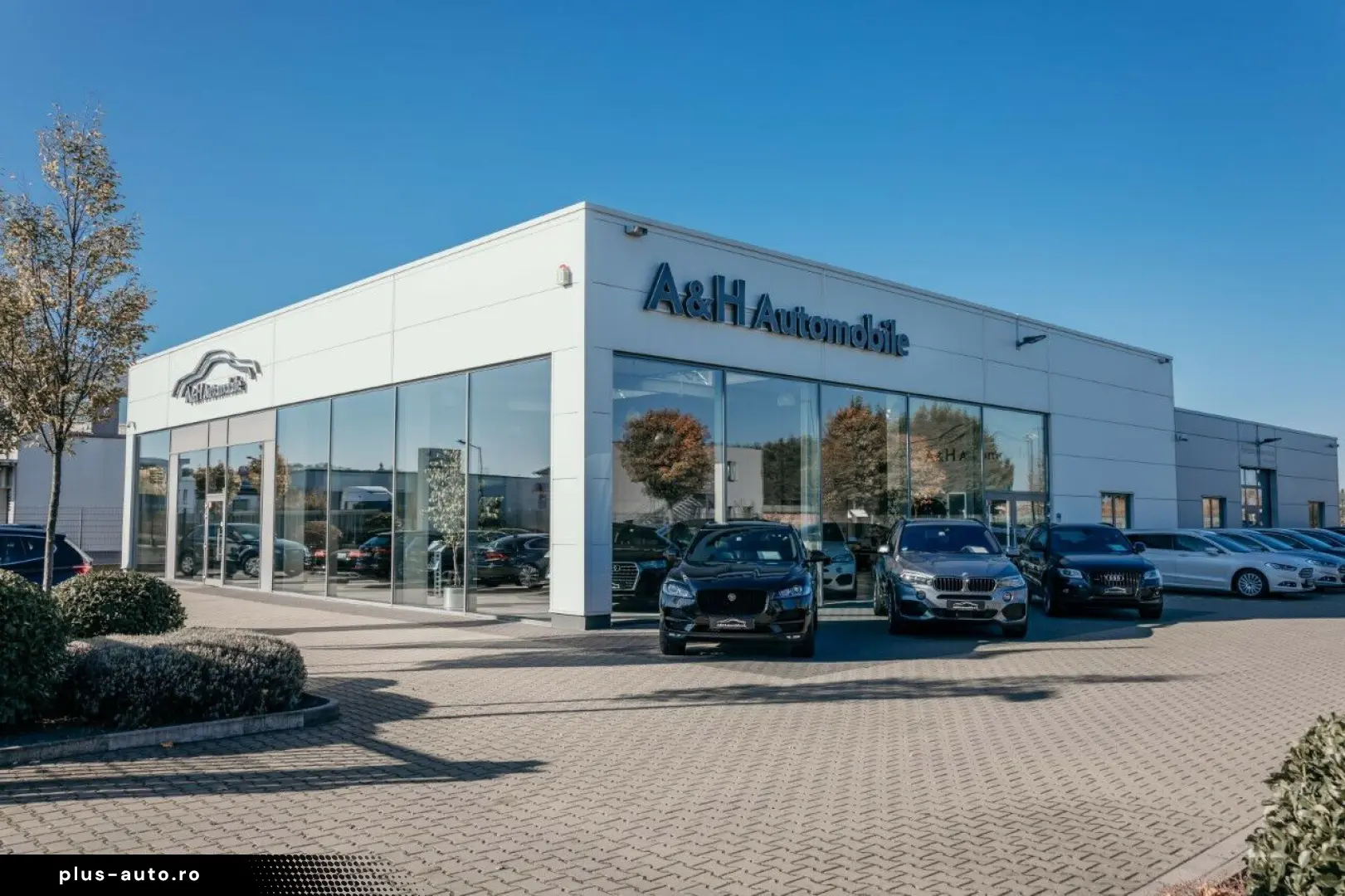 ROLLS ROYCE Cullinan BLACK BADGE MANSORY STARLIGHT BESPOKE