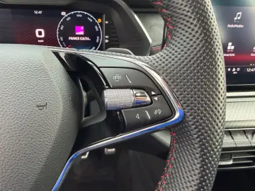 SKODA Octavia RS DCC Colum 19  AHK ACC Matrix el. Sitz