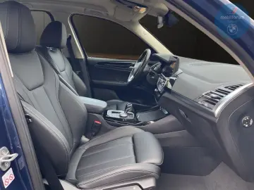 BMW X3 xDrive30e HUD HiFi Kamera DriveAss