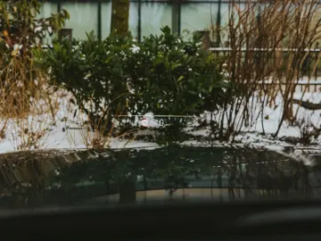 BMW 740 7 740 d xDrive M Sport