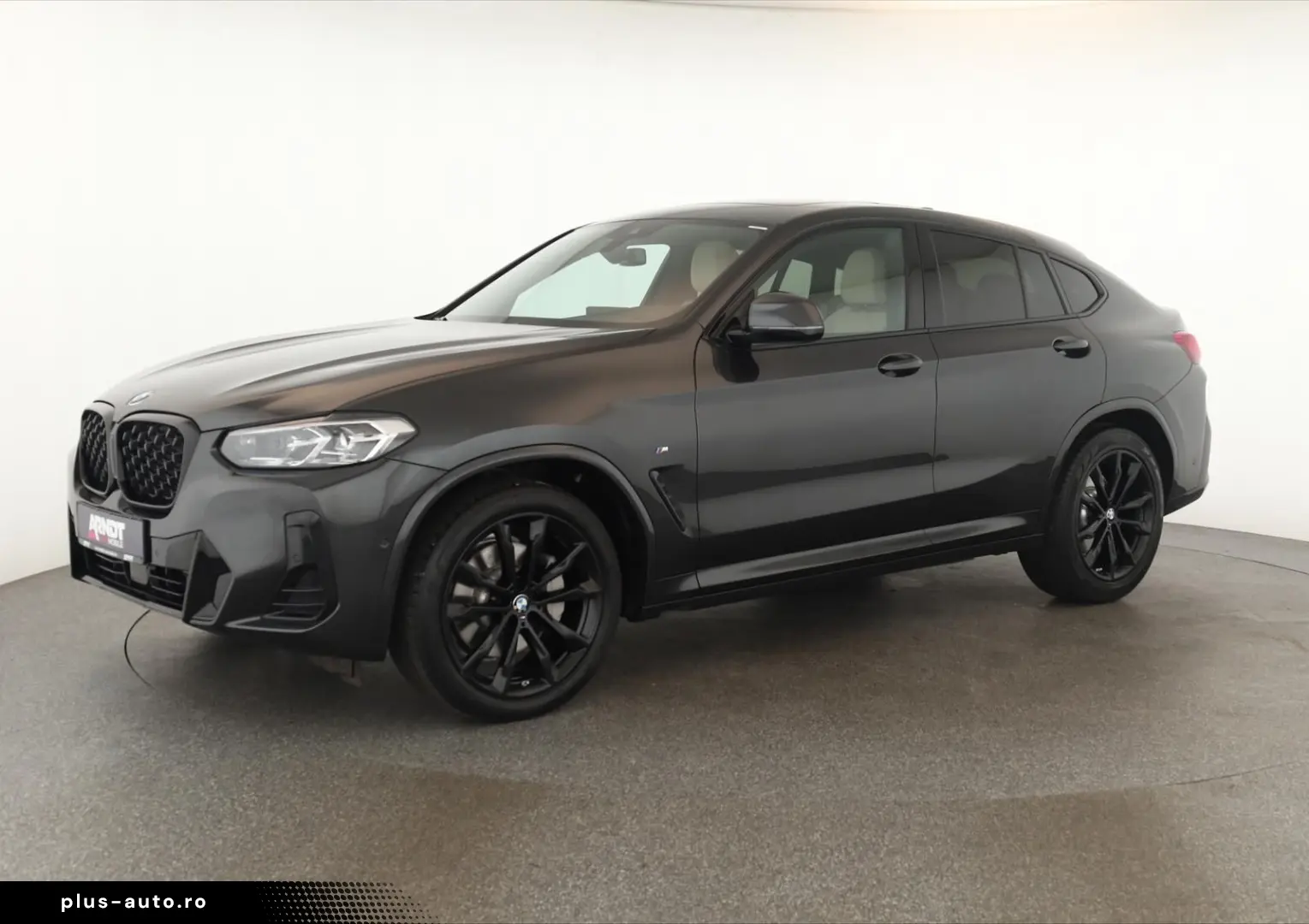 BMW X4 xDrive30d M Sport Matrix Pano NaviPro ACC 20
