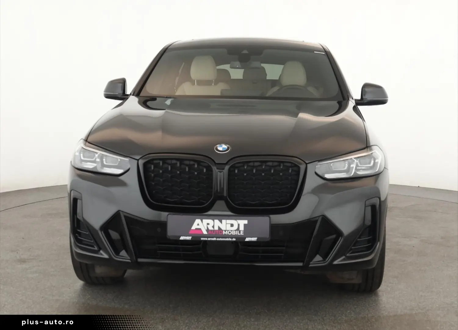 BMW X4 xDrive30d M Sport Matrix Pano NaviPro ACC 20