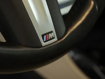 BMW X4 xDrive30d M Sport Matrix Pano NaviPro ACC 20