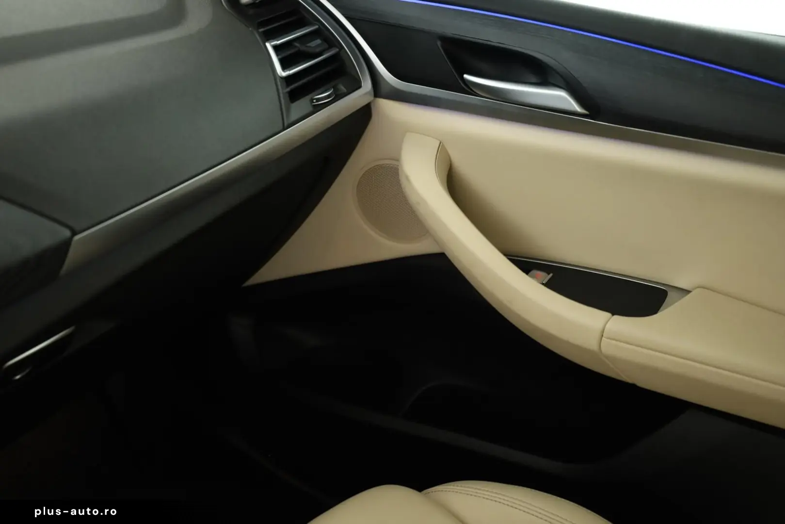 BMW X4 xDrive30d M Sport Matrix Pano NaviPro ACC 20