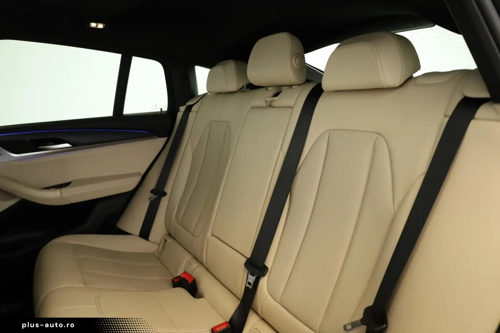 BMW X4 xDrive30d M Sport Matrix Pano NaviPro ACC 20