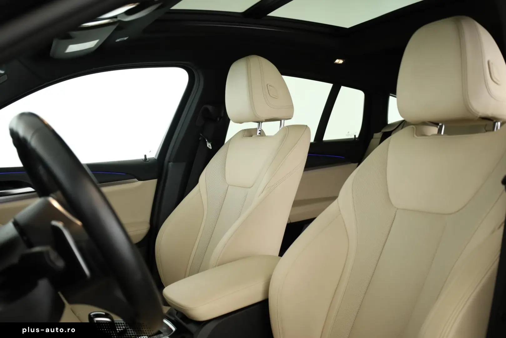 BMW X4 xDrive30d M Sport Matrix Pano NaviPro ACC 20