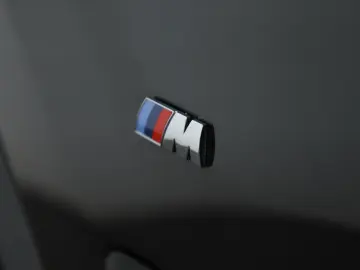 BMW X4 xDrive30d M Sport Matrix Pano NaviPro ACC 20